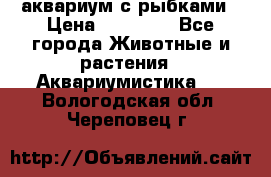 аквариум с рыбками › Цена ­ 15 000 - Все города Животные и растения » Аквариумистика   . Вологодская обл.,Череповец г.